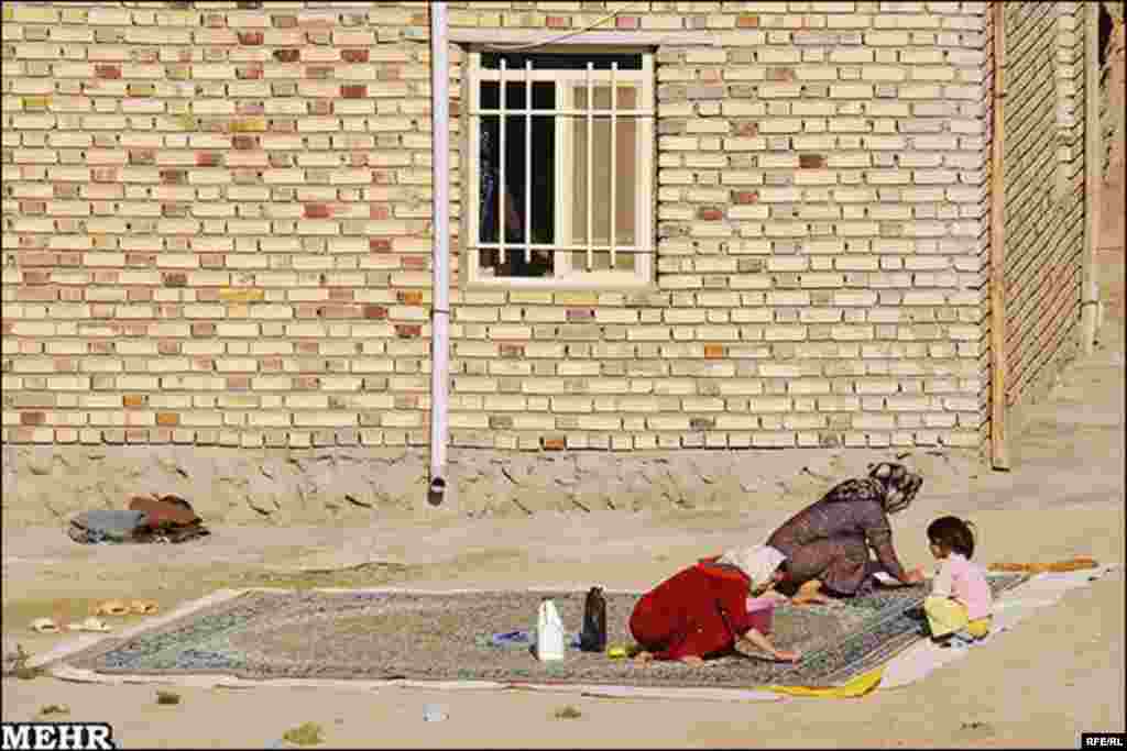 ترکمن های ایران در گلستان و تربت جام #18
