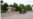 Un bărbat pe un mini-tractor trece pe lângă stația de autobuz din satul Sîrma. Această localitate a devenit parte a orașului Leova, în unul din primele procese de amalgamare voluntară, în mai 2025.