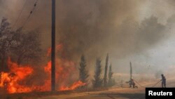 Zjarrfikësit duke tentuar të shuajnë zjarret në Gramatiko, afër Athinës më 12 gusht 2024. 