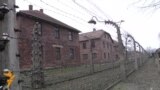 Saved By A Mistake In The Paperwork - An Auschwitz Survivor's Story