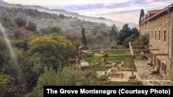 Od zaboravljenog mlina do odredišta turista iz cijelog svijeta, hostel The Grove Montenegro