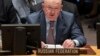 Russian Ambassador to the UN Vasily Nebenzya