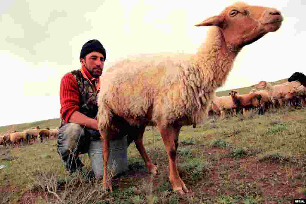 Кавказ тауларындагы борынгы Хыналык авылы #28