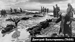 Тела убитых мирных жителей после массового расстрела в 1942 году, Керчь