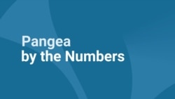 Pangea Digital: 2018 Year in Review