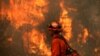 Лясныя пажары зьнішчылі 1500 дамоў у Каліфорніі