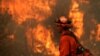 بیش از ۱۳۰ هزار هکتار در آتش‌سوزی گسترده کالیفرنیا سوخت