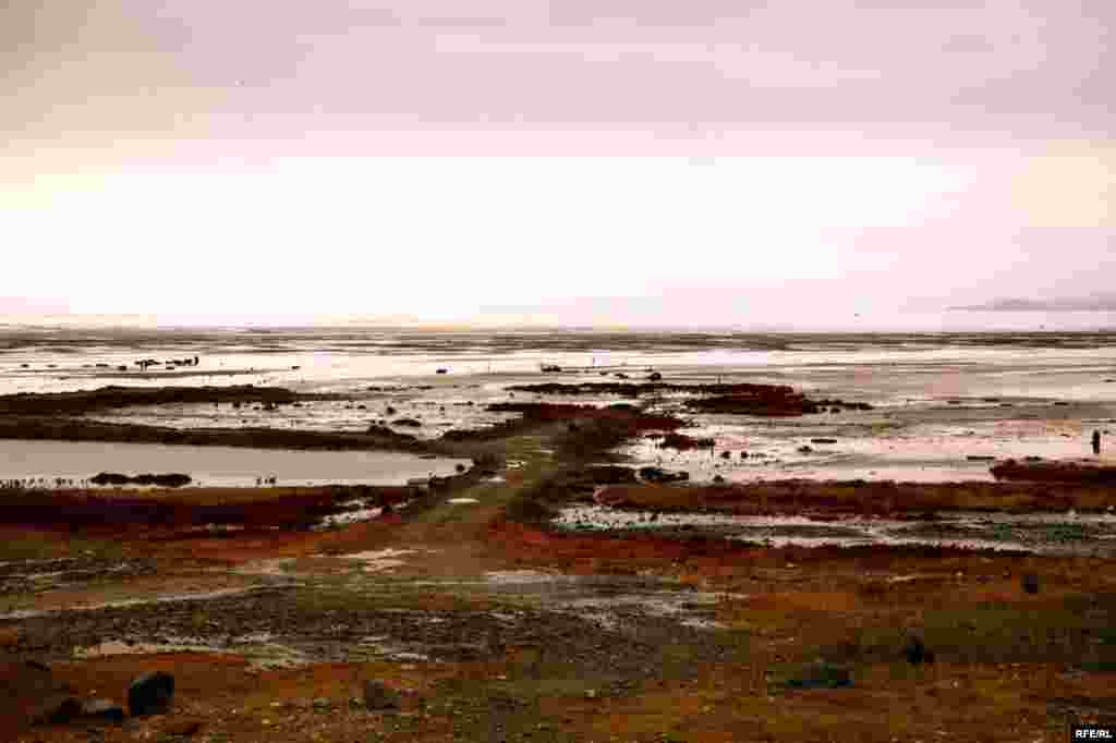 Озеро Урмия: "превращение" в пустыню #11