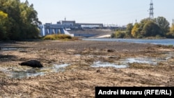 Albia Nistrului - în mod normal acoperită în întregime de apă - așa cum arăta pe 4 octombrie în aval de Nodul Hidrotehnic de la Naslavcea, acolo unde râul intră în Republica Moldova. 