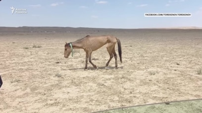 Мәскеудегі тансексуал