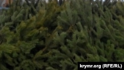 Иллюстрационное фото