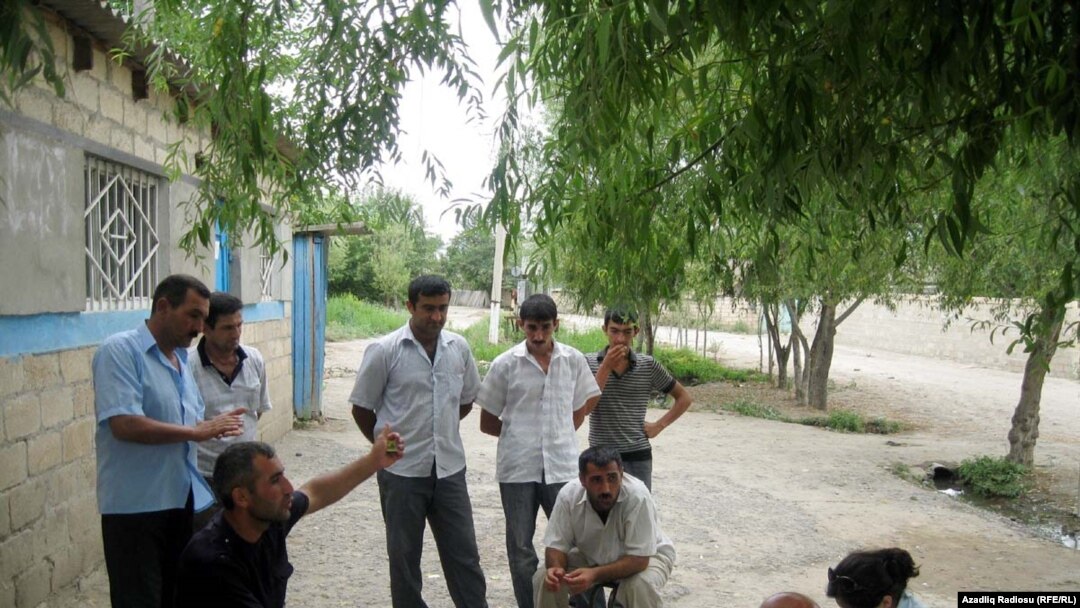 Taxılımızı siçan apardı