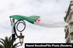 یک معترض در تظاهراتی در آوریل ۲۰۱۹، پرچم الجزایر را به احتزاز در آورده است