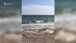 Крымский пловец Софяник провел заплыв за деоккупацию Крыма (видео)