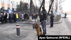 Полицейские со служебной собакой у консульства России в Алматы, перед которым в день выборов президента России выстроилась очередь. 18 марта 2018 года.