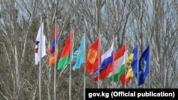 Флаги стран-членов ЕАЭС