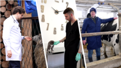 Istorii care contează: Noua generație de veterinari