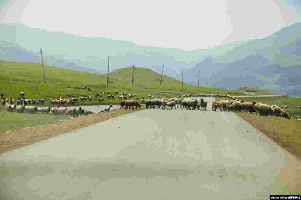 Gədəbəy rayon mərkəzindən Miskinli kəndinə gedən yol.