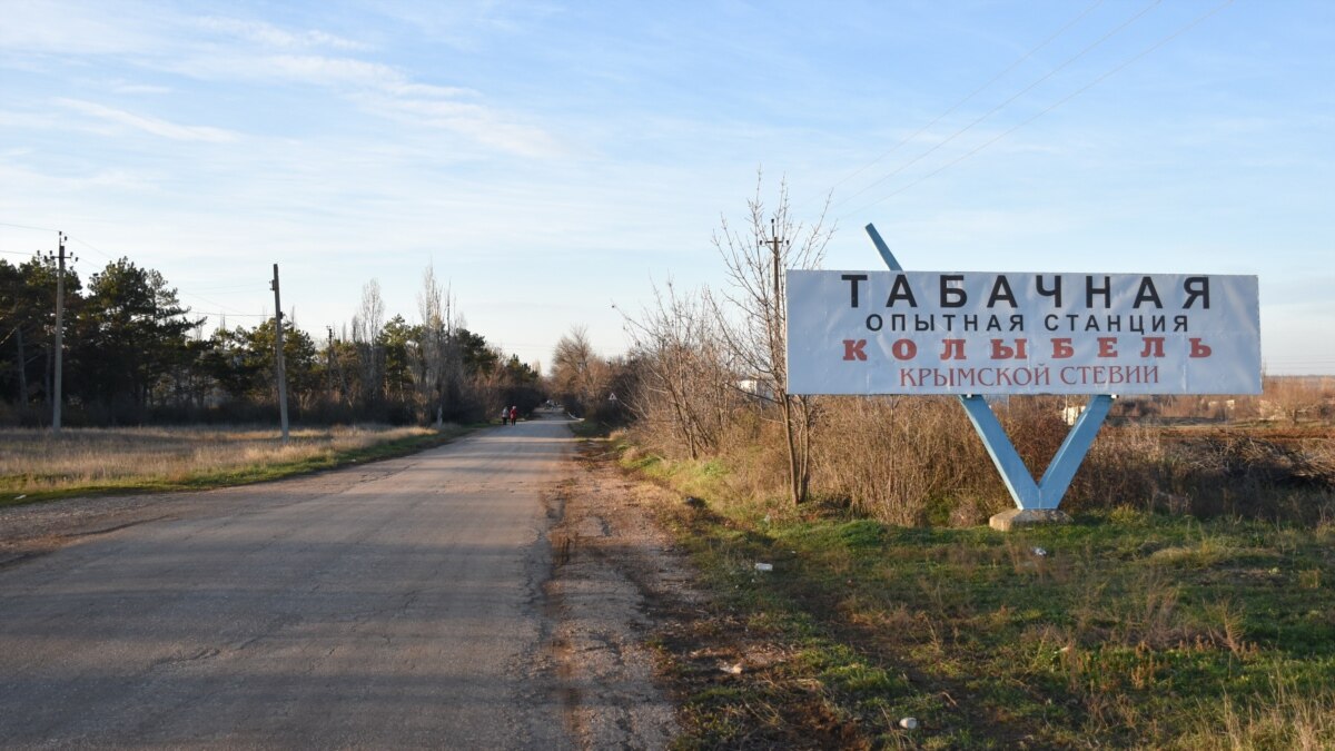 Там, где выращивают табак и стевию: сельские будни Табачного (фотогалерея)