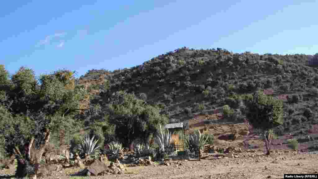 د خوست تڼۍ ولسوالۍ