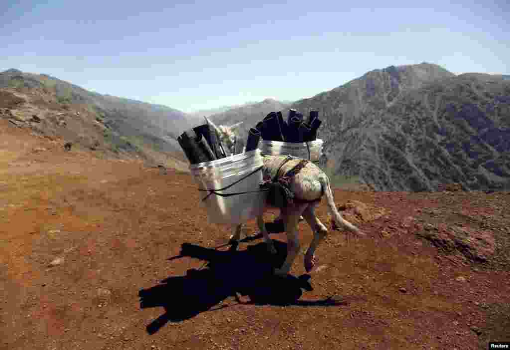 Ahead of Afghanistan's presidential election, a donkey transports ballot boxes and other materials to polling stations which are not accessible by road in Shutul, Panjshir Province, on June 13. (Reuters/Omar Sobhani)