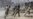 Anti-U.S. Protests Rock Islamic World
