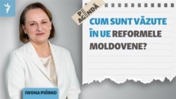 Ambasadoarea UE la Chișinău, despre negocierile de aderare, Transnistria și cuplarea cu Ucraina