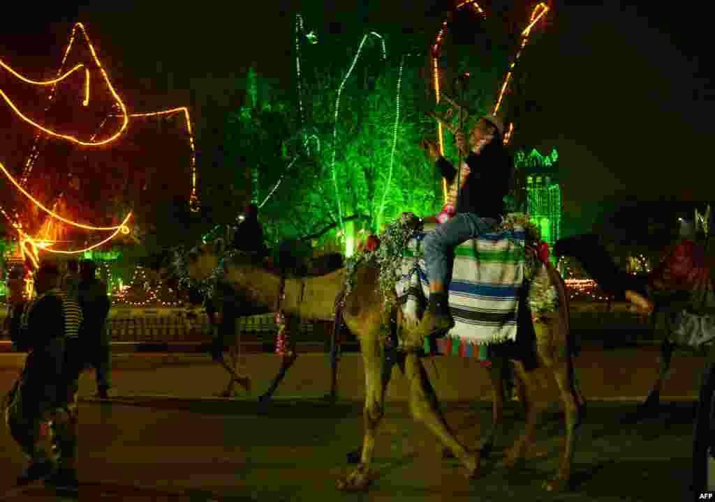 Residents ride camels during celebrations on the eve of Eid Milad-un-Nabi, the birth of the Prophet, in Lahore, Pakistan, on January 13. (AFP/Arif Ali)