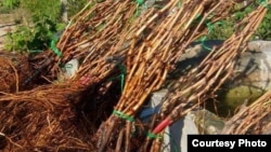 Суу ресурстары, айыл чарба жана кайра иштетүү өнөр жайы министрлиги жарыялаган сүрөт.