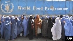تعدادی از ز نان نیازمند در کابل که در مقابل دفتر برنامه جهانی غذا برای دریافت کمک جمع شده اند 