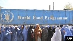 تعدادی از زنان نیازمند به کمک در برابر دفتر برنامه جهانی غذای سازمان ملل متحد در کابل