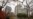Two Mormons Detained In Russian Black Sea Port