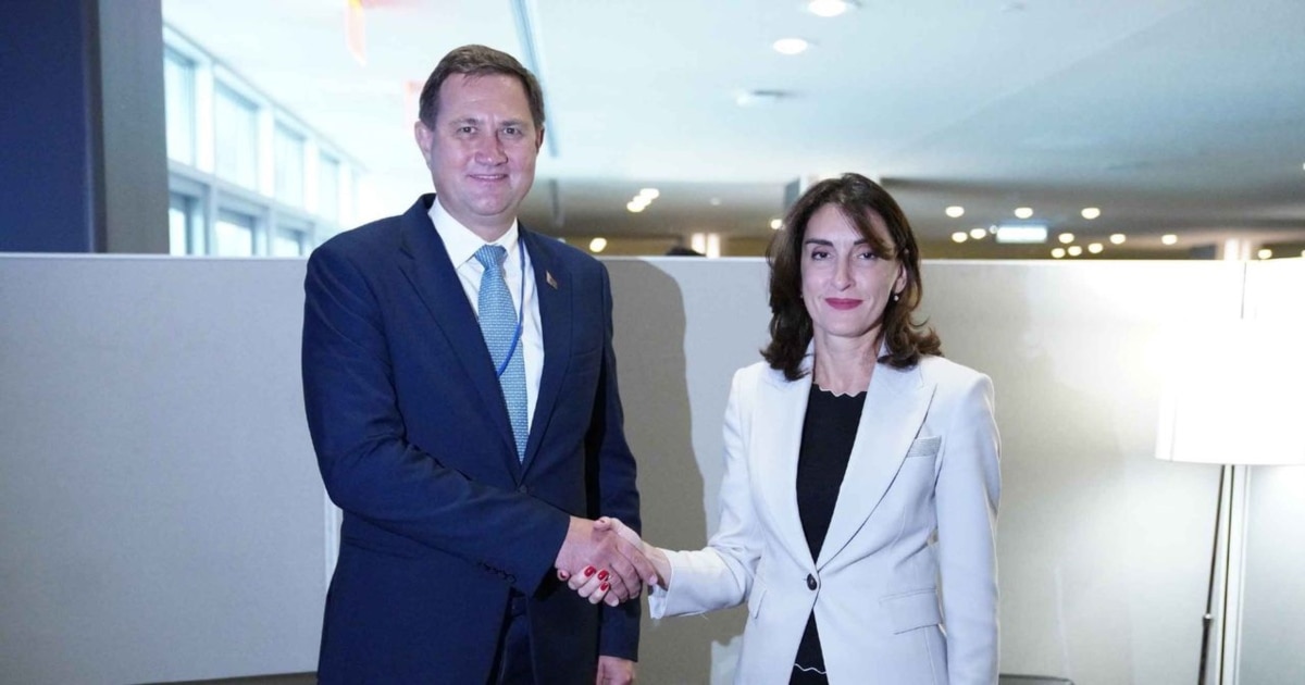 ბელარუსელ კოლეგასთან ბოჭორიშვილის შეხვედრაზე ცნობა საგარეომ მედიაში ინფორმაციის გავრცელების შემდეგ გამოაქვეყნა