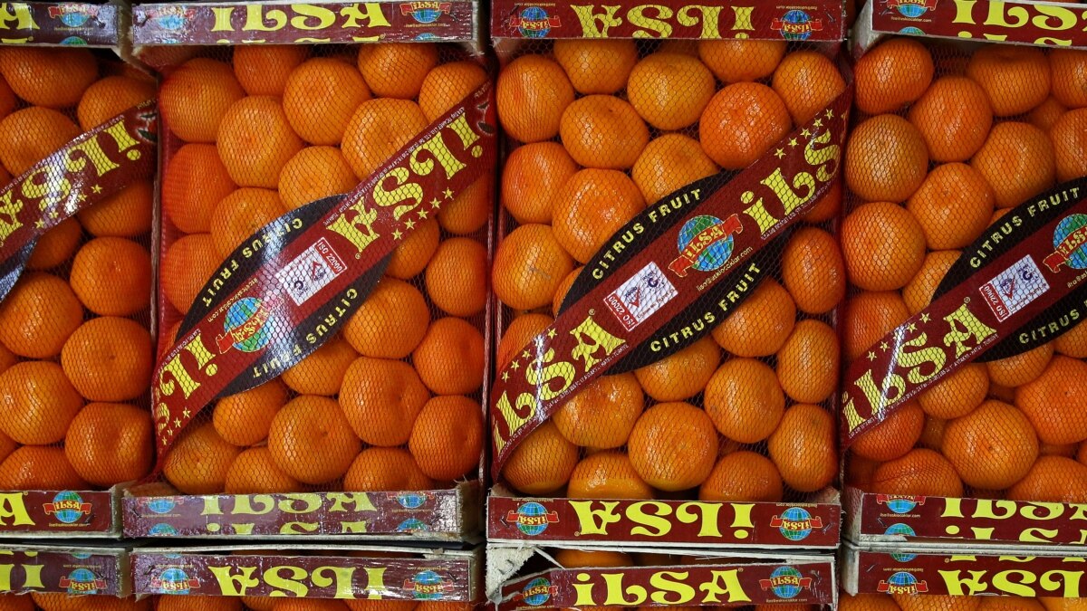 турецкий адрес для playstation