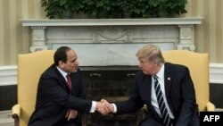 President Donald Trump (right) and Egypt's Abdel Fattah el-Sisi meet in at the White House.