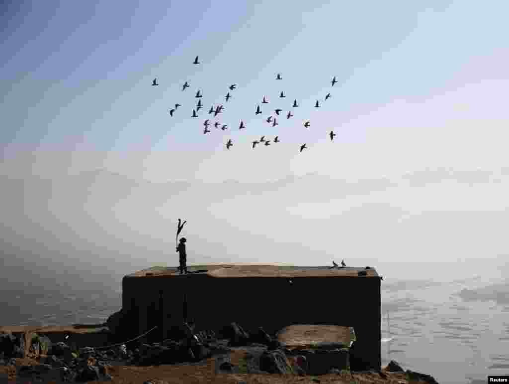 An Afghan boy watches as his flock of domesticated pigeons flies above the roof of his house in Kabul. (Reuters/Ahmad Masood)