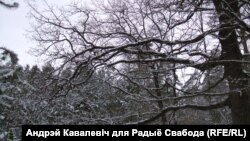 Фота Андрэя Кавалевіча