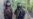 Umarov Names New Head Of Daghestan Insurgency Wing; Planned Chechen Attack Thwarted