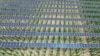 Сонячні панелі на плантації хмелю в Баварії, фото ілюстративне