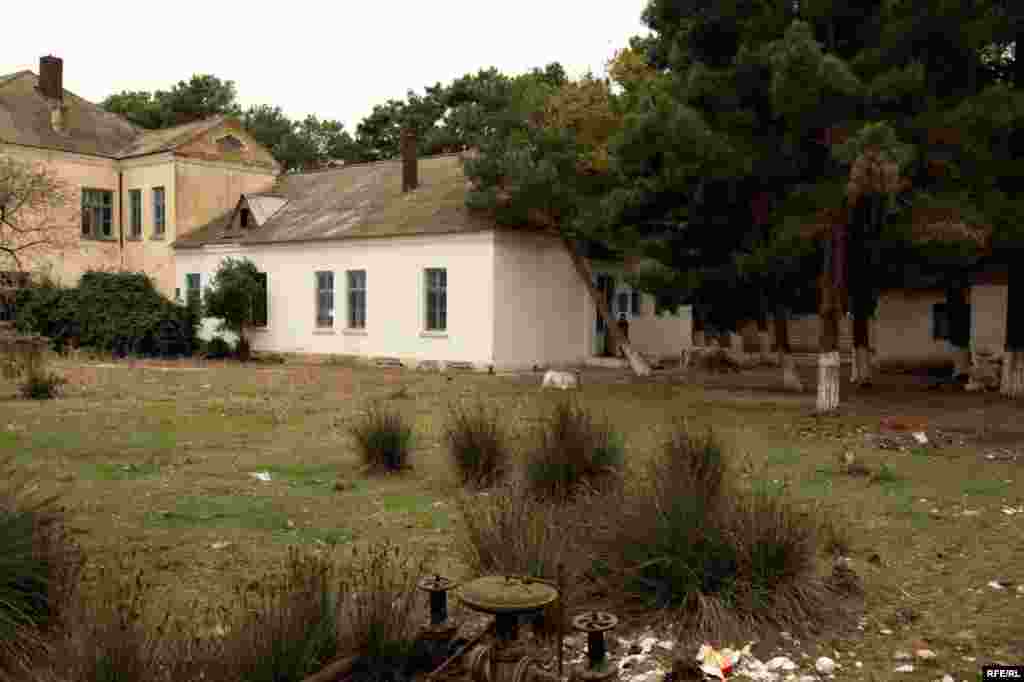 Bir seçki dairəsində #17