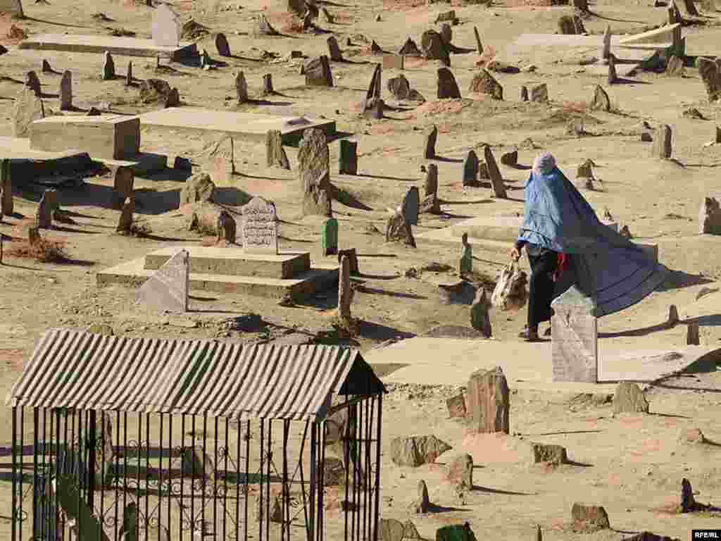 Rădăcinile talibanilor #22