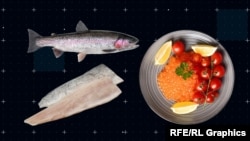 ცისარტყელა კალმახი და მისი ხიზილალა