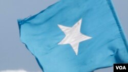 د سومالیا ملي بیرغ