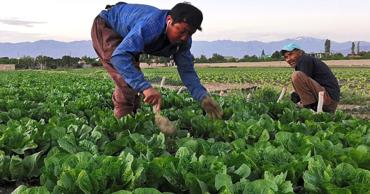 Iran Looks To Buy Water From Neighbors Amid Drought Crisis