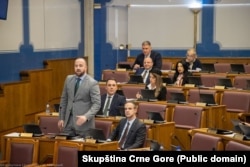 Poslanik DPS-a Andrija Nikolić