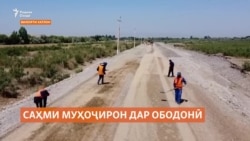 Муҳоҷири тоҷик мегӯяд, "саҳми моро дар ободонии ватан нодида нагиред!"