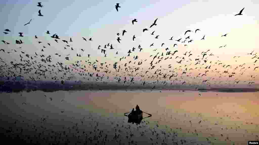 Migratory birds fly above men rowing a boat on the Yamuna River in the old quarters of Delhi, India. (Reuters/Ahmad Masood)