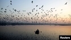 Nacionalni park Skadarsko jezero je stanište više vrsta ptica i riba