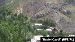 Barzob obasy.