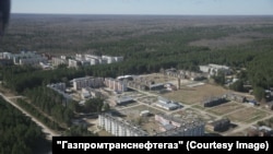 Кедровый